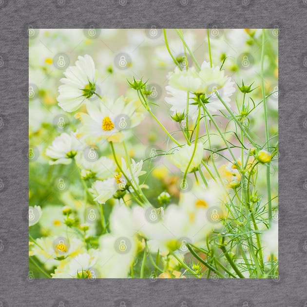 SCENERY 73 - Yellow White Chamomile Flower Blossom Green Leaves by artvoria